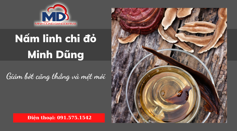 Nấm Linh Chi Đỏ giúp giải tỏa căng thẳng, mệt mỏi