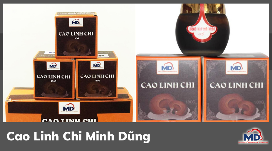 Cao Linh Chi Minh Dũng - Sự lựa chọn hoàn hảo
