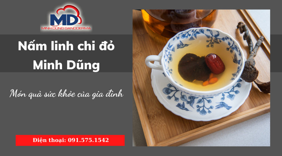 Nấm Linh Chi Đỏ Minh Dũng - Món quà sức khỏe của gia đình