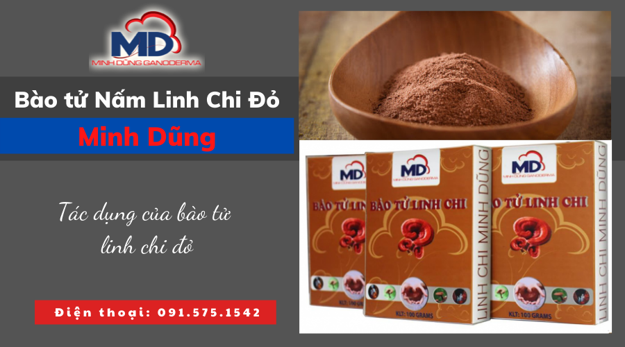 Tác dụng của bào tử nấm linh chi