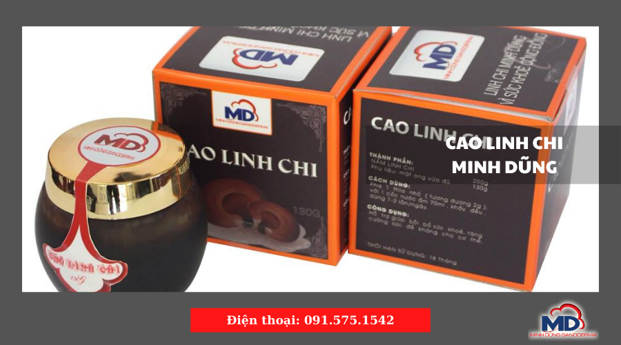Cao Linh Chi Minh Dũng - Bạn thân của mọi gia đình