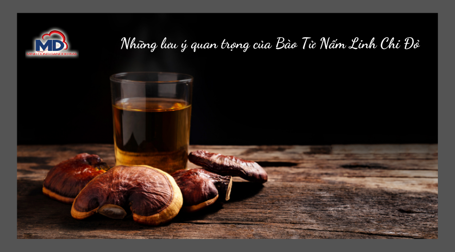 Những lưu ý khi sử dụng bào tử nấm linh chi đỏ