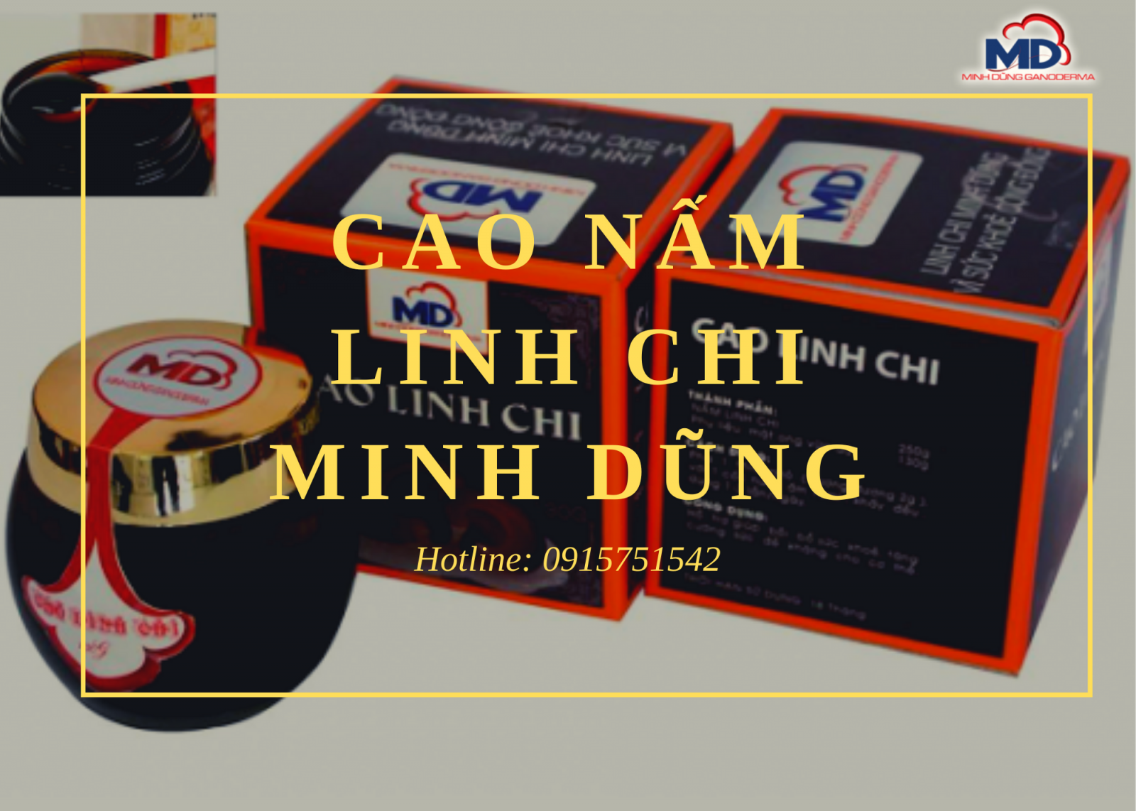 Linh chi Minh Dũng