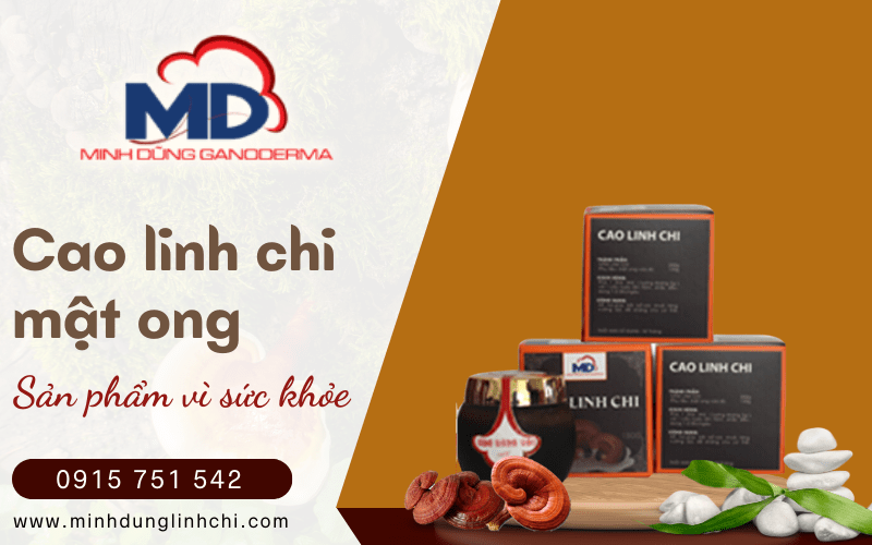 Cao linh chi mật ong