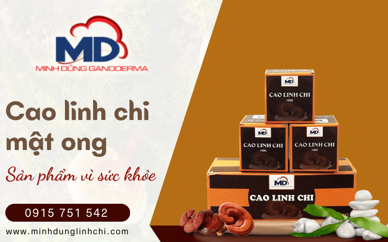 Cao linh chi mật ong