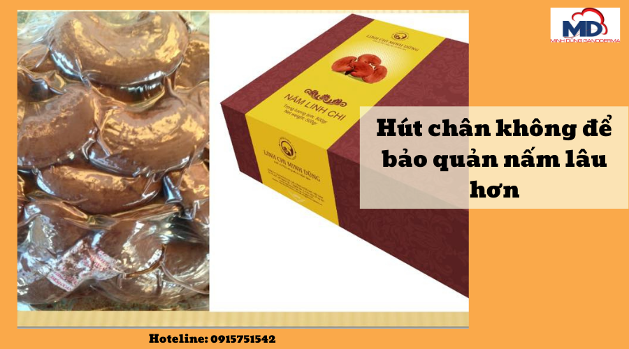 bảo quản linh chi