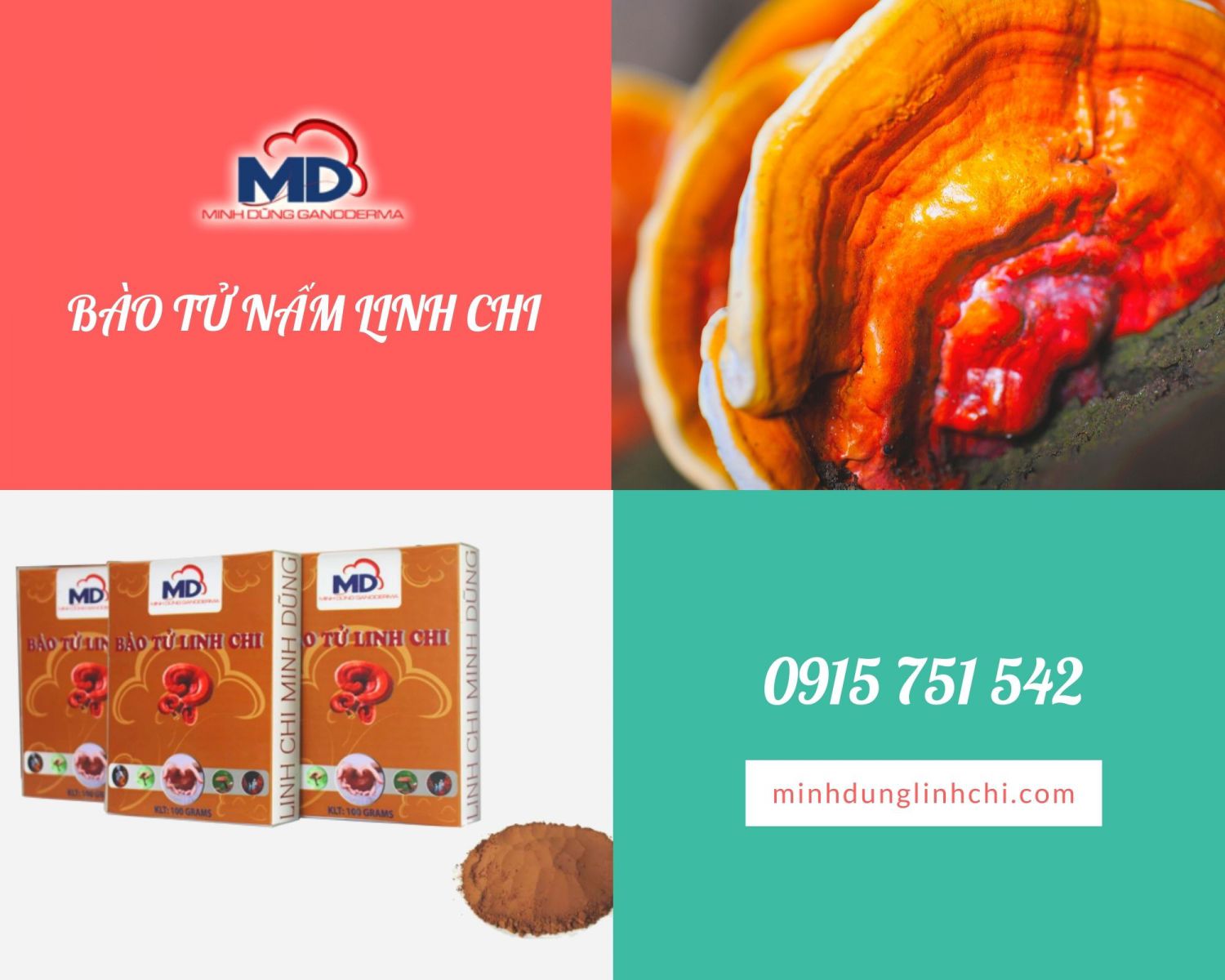 nấm