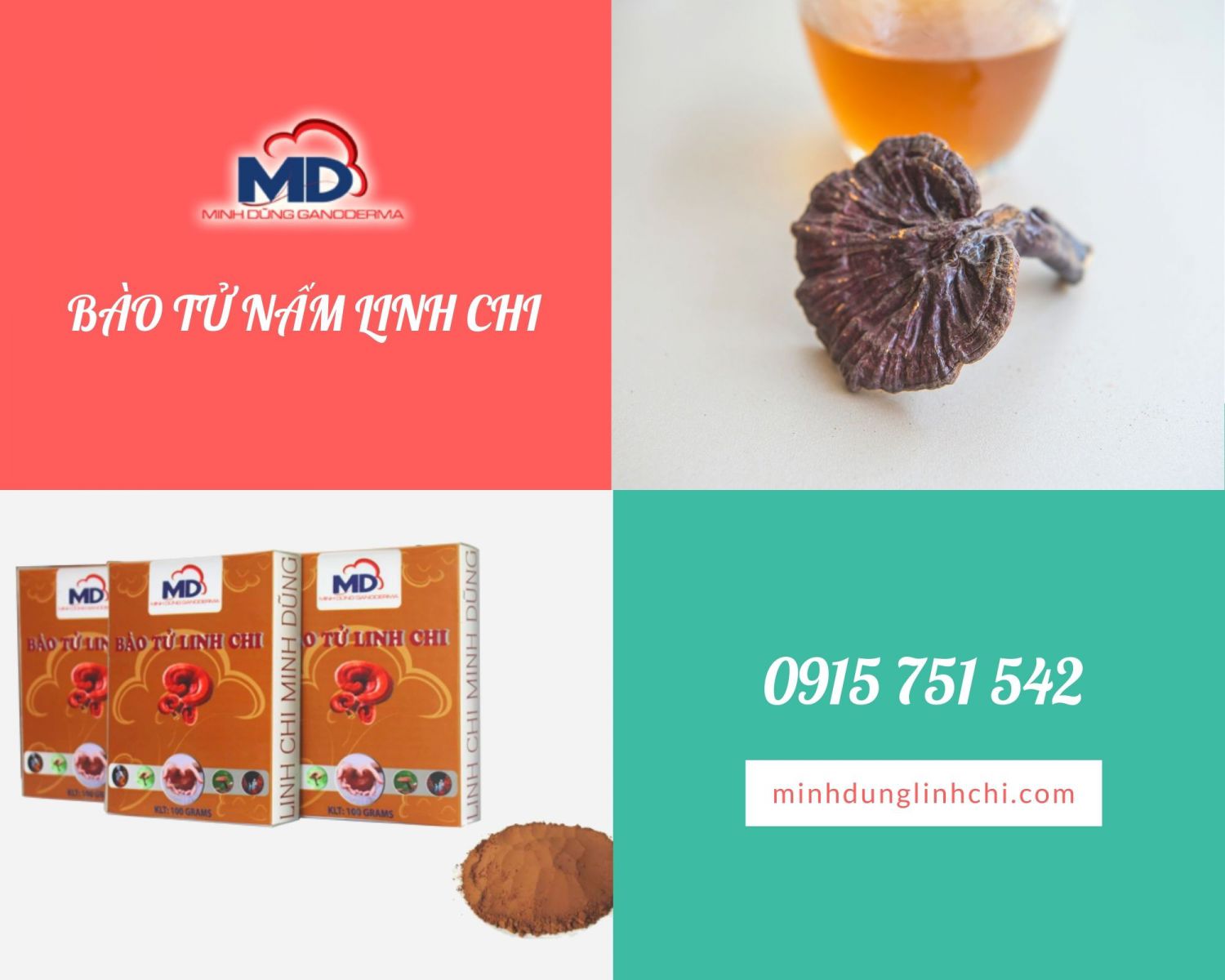 bào tử