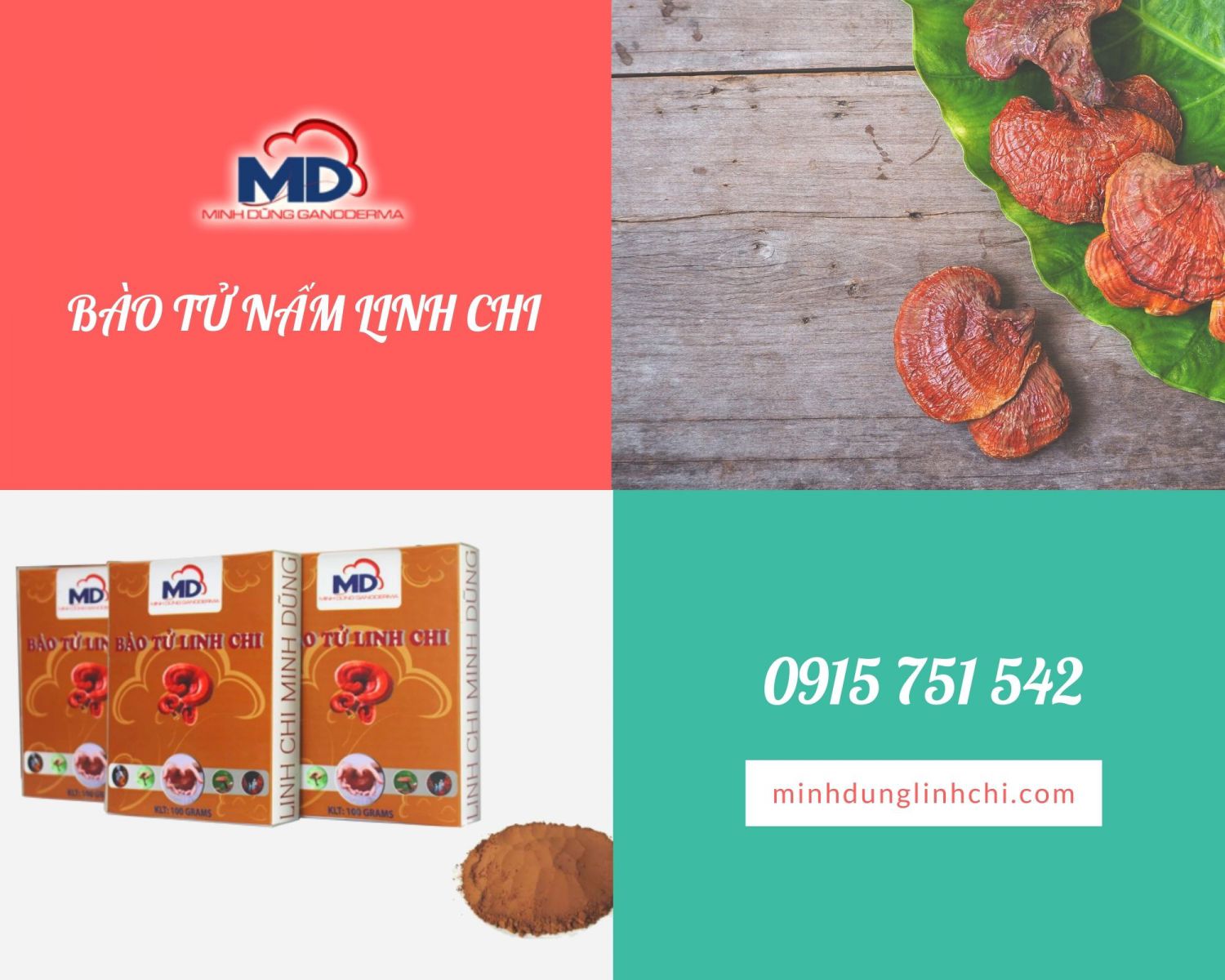 bào tử nấm