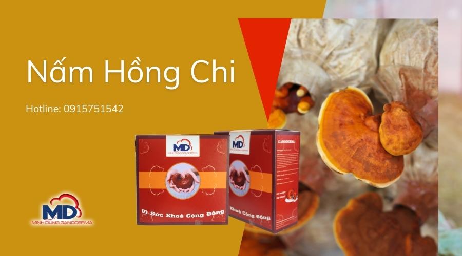 công dụng nấm hồng chi