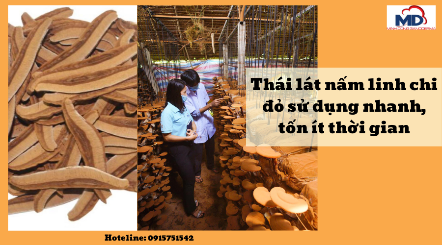 linh chi đỏ thái lát