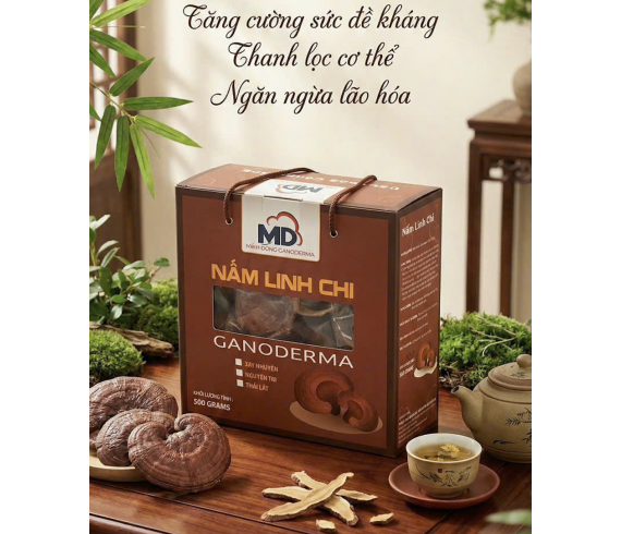 Linh Chi Đỏ (Hồng Chi) - Hộp 500 Gam
