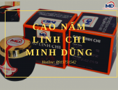 Cao linh chi là gì? Công dụng “thần kì” của nó ra sao 
