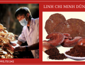 Bí quyết chọn “nhân sâm” linh chi cực tốt dựa theo màu sắc và hương vị 
