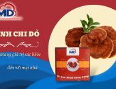 Linh chi đỏ và những bật mí về công dụng cho sức khỏe