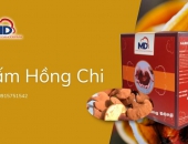 Nấm hồng chi – Vị thuốc quý từ thiên nhiên tốt cho sức khỏe