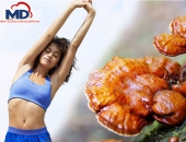 Nấm Linh Chi Đỏ - phương pháp giảm cân hiệu quả và an toàn nhất hiện nay 