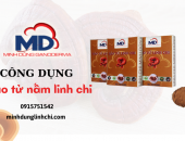 Những công dụng bất ngờ của bào tử nấm linh chi đối với sức khỏe