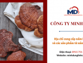 Tổng hợp các cách sử dụng nấm linh chi phổ biến nhất hiện nay