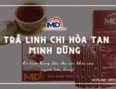 Trà linh chi hòa tan Minh Dũng - Thức uống giải khát và phòng bệnh hiệu quả