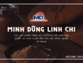 Những lợi ích to lớn từ bào tử nấm linh chi dành cho sức khỏe của mọi lứa tuổi.