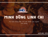 Cùng Linh Chi Minh Dũng thưởng thức qua 3 cực phẩm ẩm thực đến nấm linh chi đỏ