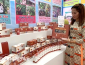 Tìm thị trường cho nấm linh chi