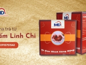 5 Cách nấu trà nấm linh chi tốt cho sức khỏe mà bạn nên biết
